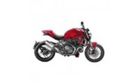 Carénage Ducati Monster 1100 2008-2012