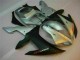 Argent 02-03 YZF R1 Carénages Moto Argent 02-03 YZF R1 Carénages Moto