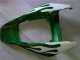 Carénages Moto Honda CBR1000RR 2006-2007 - Blanc Vert Flamme
