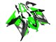 Carénages Moto Kawasaki EX300 2013-2024 - Vert Argent Noir