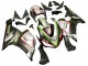 Carénages Moto Kawasaki ZX6R 2005-2006 - Noir Argent Vert Rouge K-26