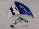 Carénages Moto Yamaha YZF 1000 R1 2009-2011 - Blanc Bleu Noir M1