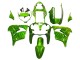 Carénages Moto Kawasaki ZX9R 2000-2001 - Vert Flamme