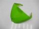 Vert 05-06 ZX6R Carrosserie Moto Vert 05-06 ZX6R Carrosserie Moto