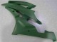 Vert 06-07 YZF R6 Carénage Moto Vert 06-07 YZF R6 Carénage Moto