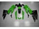 Vert Noir 09-11 EX650 Carénages Moto Vert Noir 09-11 EX650 Carénages Moto