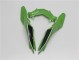 Vert Noir 13-16 EX300 Carénages Moto Vert Noir 13-16 EX300 Carénages Moto