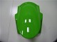 Vert Noir 13-18 ZX6R Carrosserie Moto Vert Noir 13-18 ZX6R Carrosserie Moto