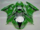 Vert Noir LeoVince 09-12 ZX6R Carénage Moto Vert Noir LeoVince 09-12 ZX6R Carénage Moto