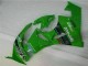 Vert Noir LeoVince 09-12 ZX6R Carénage Moto Vert Noir LeoVince 09-12 ZX6R Carénage Moto